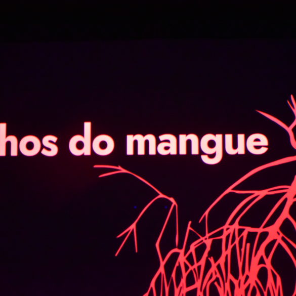 F_CircuitoPenedo_MostradeLongaAmbiental_FilhosdoMangue_KamyllaFeitosa_29-11-2024 (14)